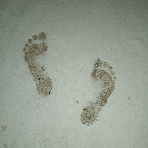 1000079844