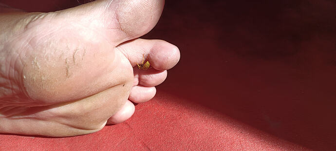 IMG_20260919_115111_149
