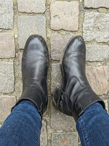 DSC_2026_02_05_475837