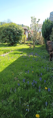 IMG_20260425_165513_868