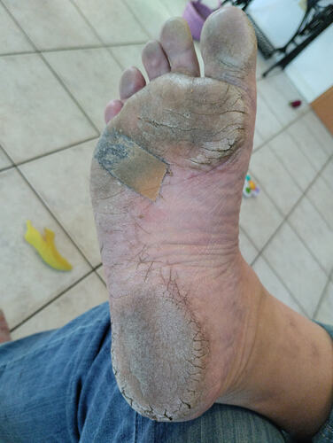 17690701613671113643308431905204