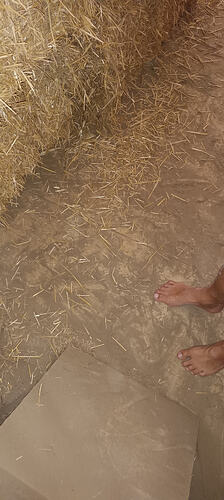 IMG_20260929_150500_459