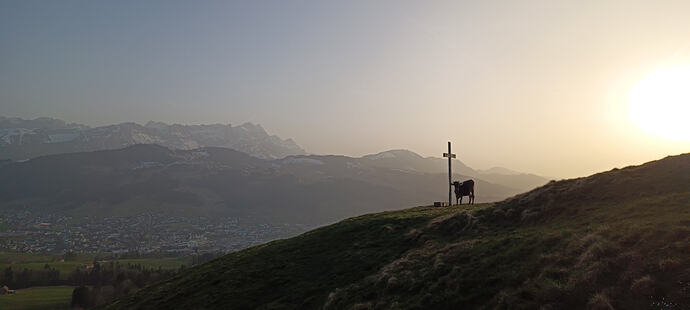 IMG_20260307_172719_212