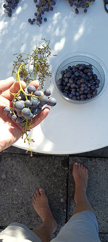 IMG_20260919_110514_030