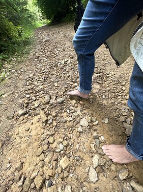 D29ED553-75B9-46D0-9C4F-47BA58230849_1_105_c