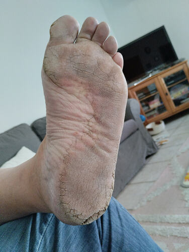 17692448306268159478386562888434