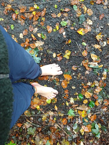 IMG_20251005_135604600