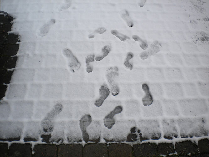 Spuren im Schnee 01