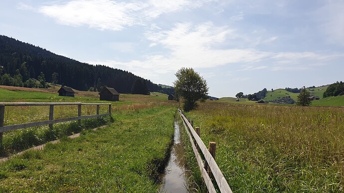Die Strecke mit einem kleinen Moorbad. Hat (fast) kein Kind ausgelassen und war ein großer Spaß.