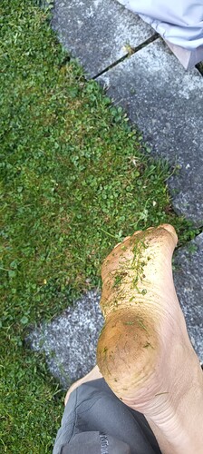 IMG_20251007_173229_365