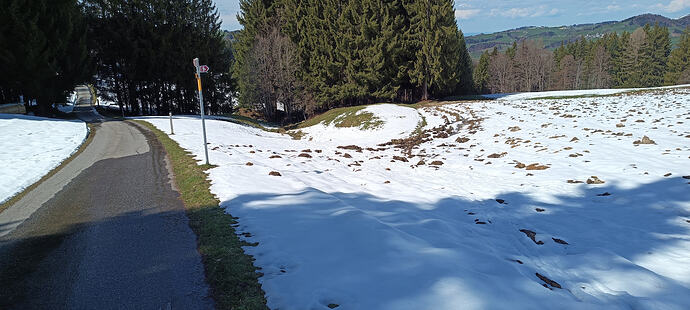 IMG_20260405_143438_359