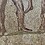 Albertus