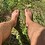Luckysoles Luckysoles